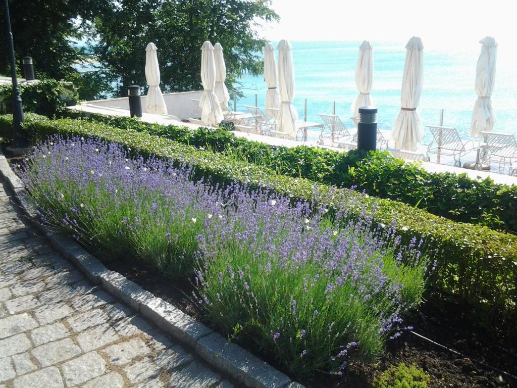 Hvd Boutique Hotel Oasis - Private Beach & Free Parking Golden Sands Exterior foto